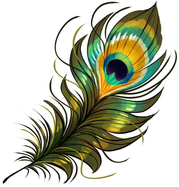 Peacock Feather (30 B) by AlphaStryx on DeviantArt