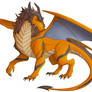 COM Orange Dragon