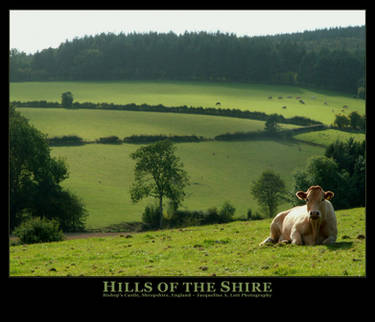 Hills of the Shire