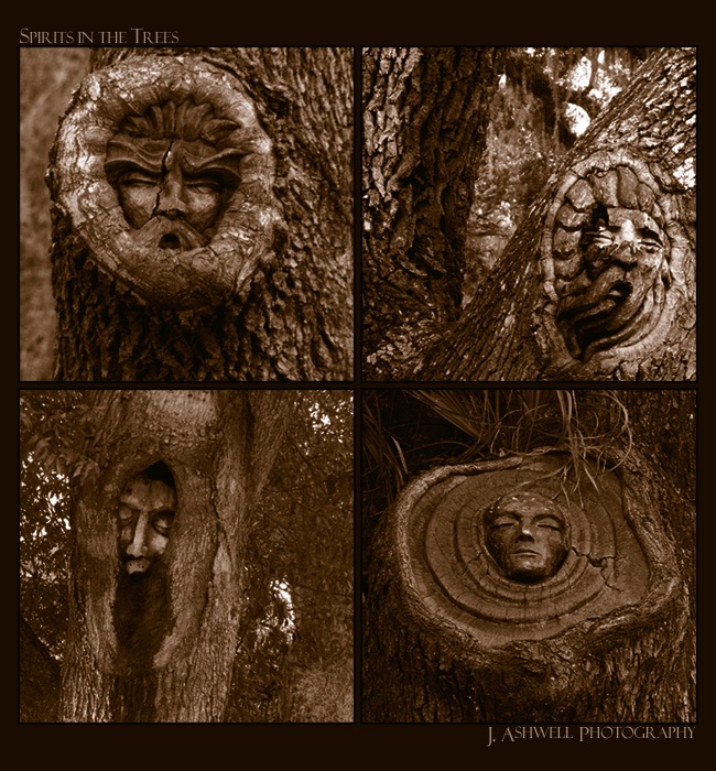 Spirits in the Trees