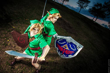 OoT] Zelda Ocarina of time Cosplay : r/zelda