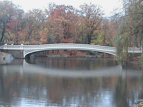 Central Park Bridge