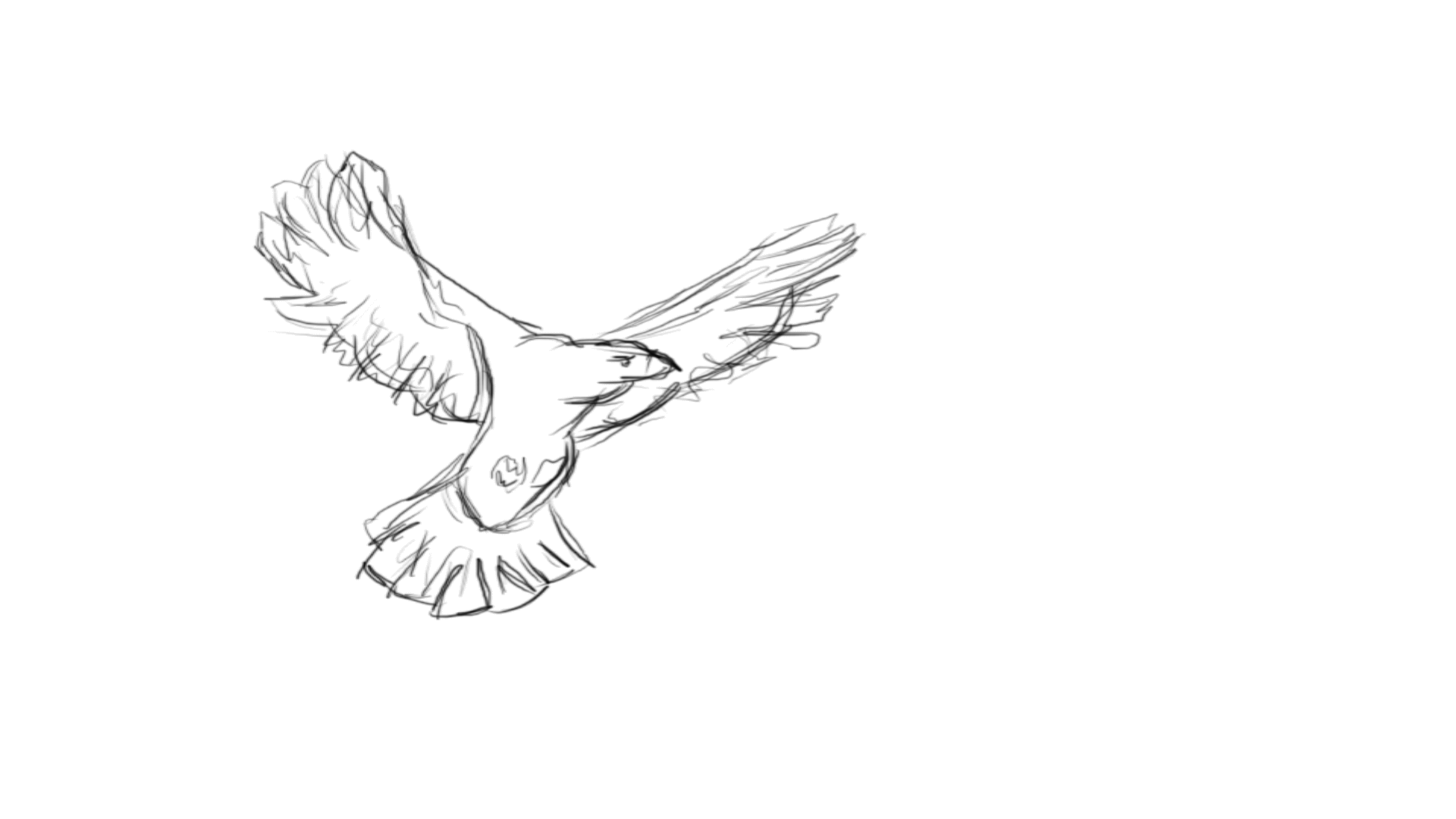Bird Flying By KellMarie On DeviantArt bird-flying-by-kellmarie-on-deviantart