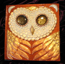 Owl of Flame Book