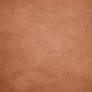 blurry_grass_orange