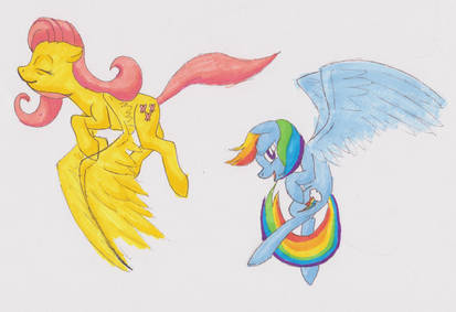 Rainbow Dash and Fluttershy Flying