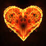 The Fire of Love