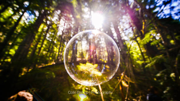 Forest Bubble