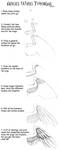 Angel Wing Tutorial by raerae