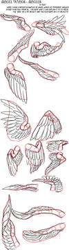 Angel Wing Tutorial - Angles by raerae on DeviantArt