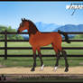 AWB | Foal Design | Big Red x Heras Reliquien