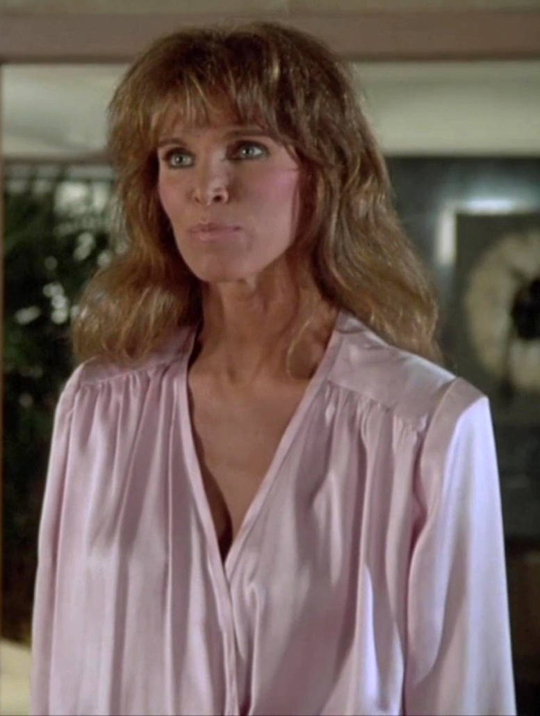 Night Rider Woman Knight Rider (TV Series, 1982-1986) s02e19 by VasilisaSatin on DeviantArt