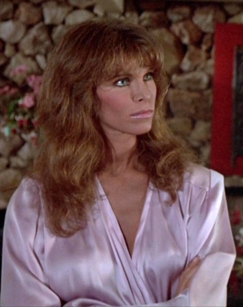 Night Rider Woman Knight Rider (TV Series, 1982-1986) s02e19 by VasilisaSatin on DeviantArt
