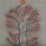 Lone Tree