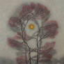 Lone Tree III