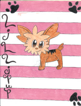 Lillipup