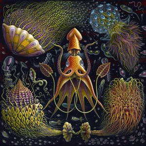 SEA FLOWERS by RSConnett SEA FLOWERS by RSConnett