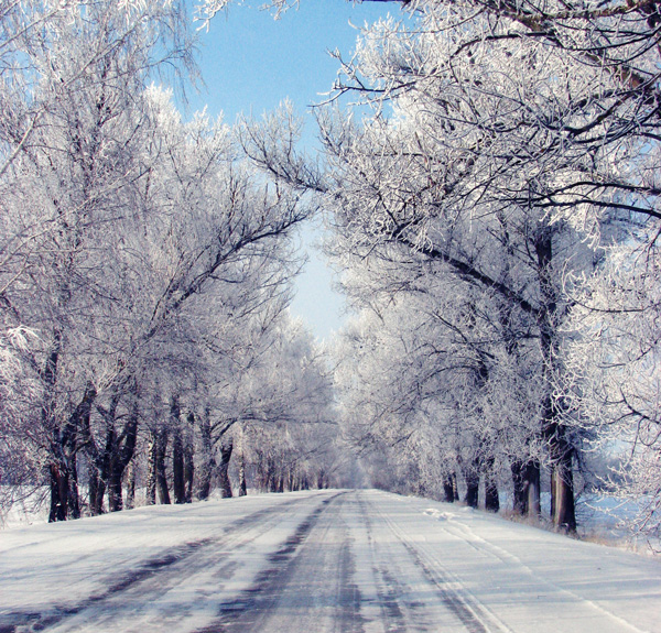 snow day