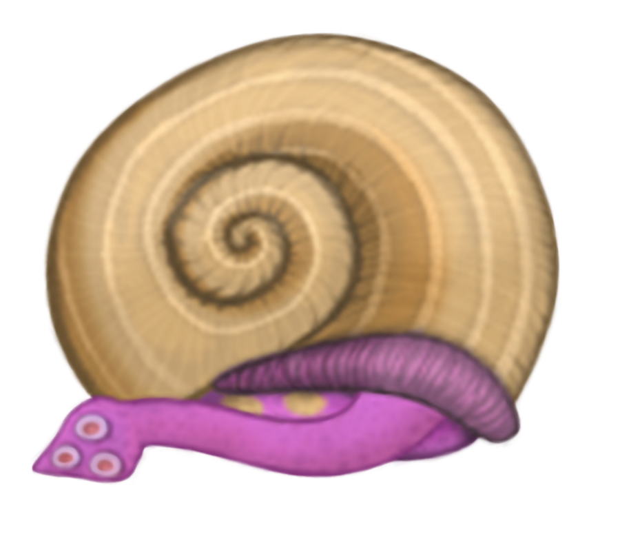 Shellbeat egg by Mrmouse1718 on DeviantArt