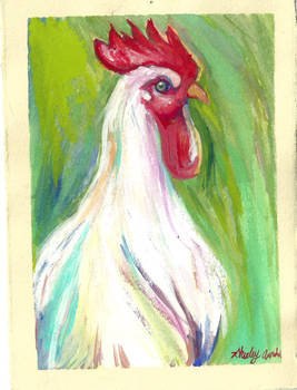 Rooster