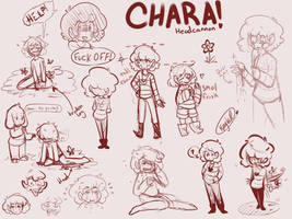 Chara Concepts