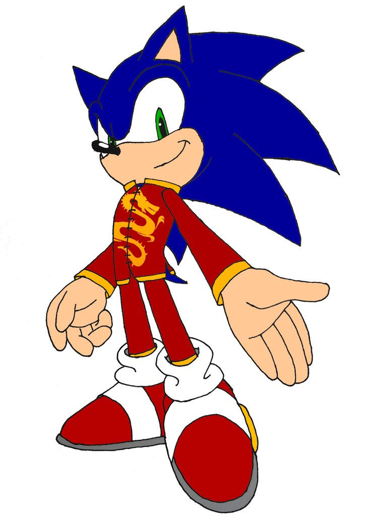 sonic thr hedgehog(Kung-fu suit) by mary-lumix on DeviantArt