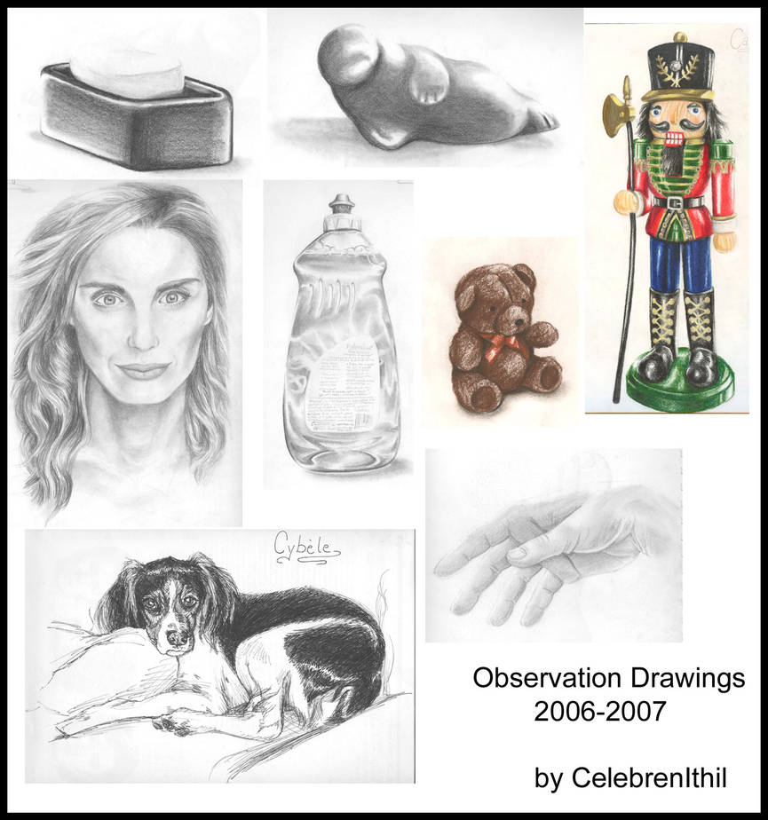 Observation Drawings 2 by CelebrenIthil on DeviantArt
