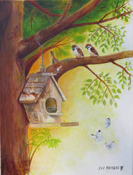 Bird House and a Frog