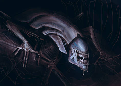 XENOMORPH/QUEEN