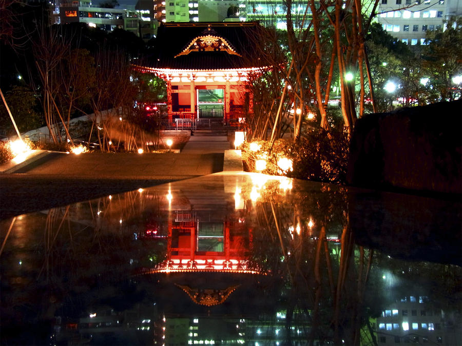 Reflections Old and New