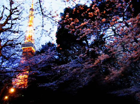 TOKYO TOWER TO SAKURA 2