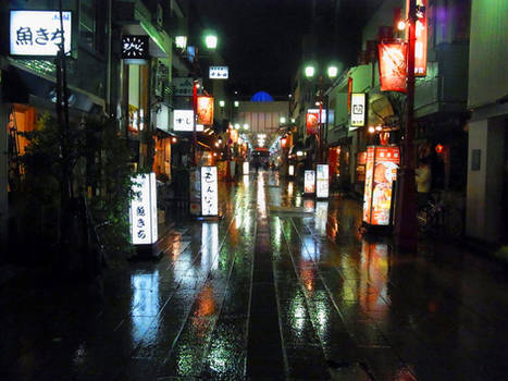 TOKYO IN THE RAIN 606