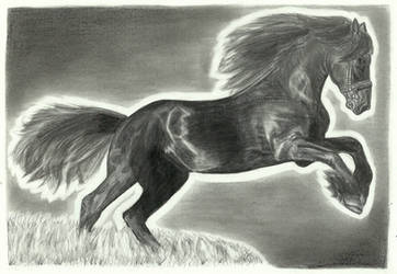 Black Horse