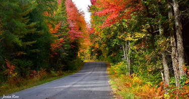 Country Road in Autumn