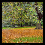 OBLIGATORY SATURATED AUTUMN by TheFulkrum