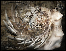 Closer to Life