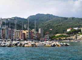Marina Biology 3