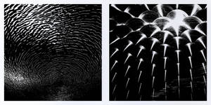 SONAR | Collab
