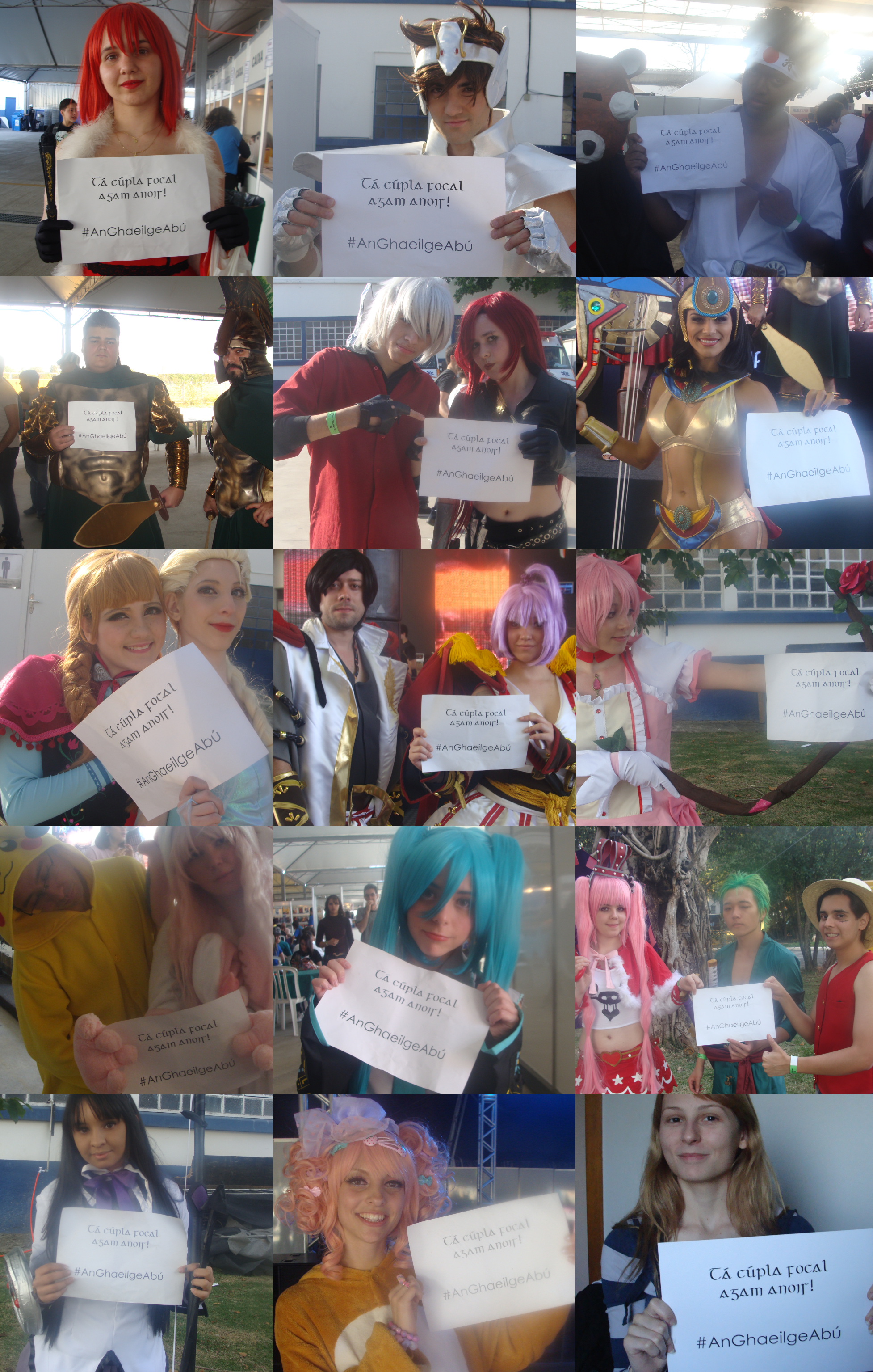 Gaeilgeoir Project: Anime Friends 2014