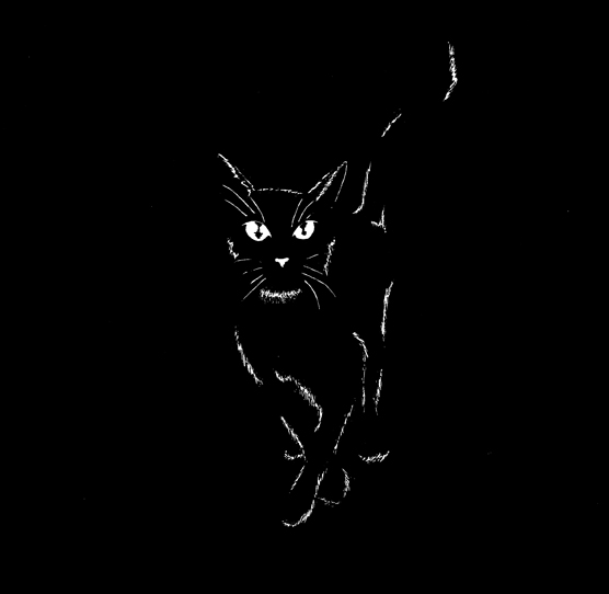 Black Cat