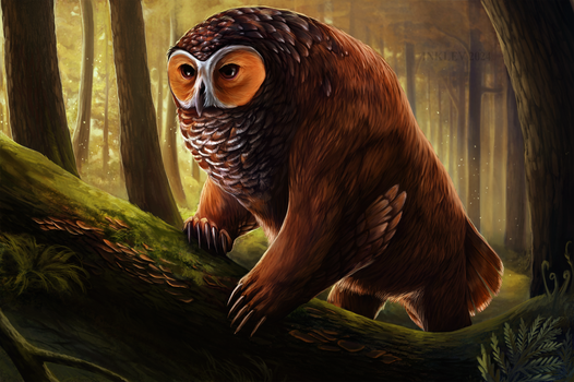 Woodland Owlbear