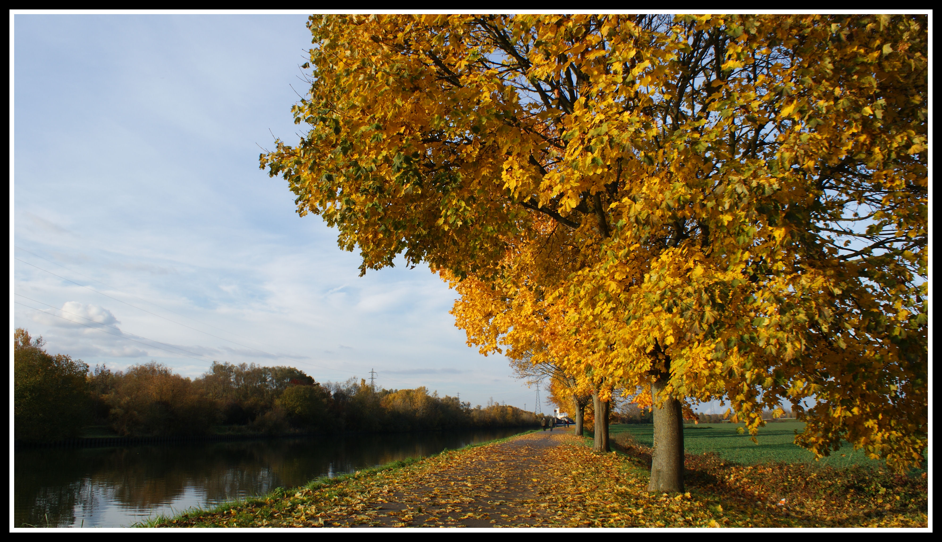 Fall in France