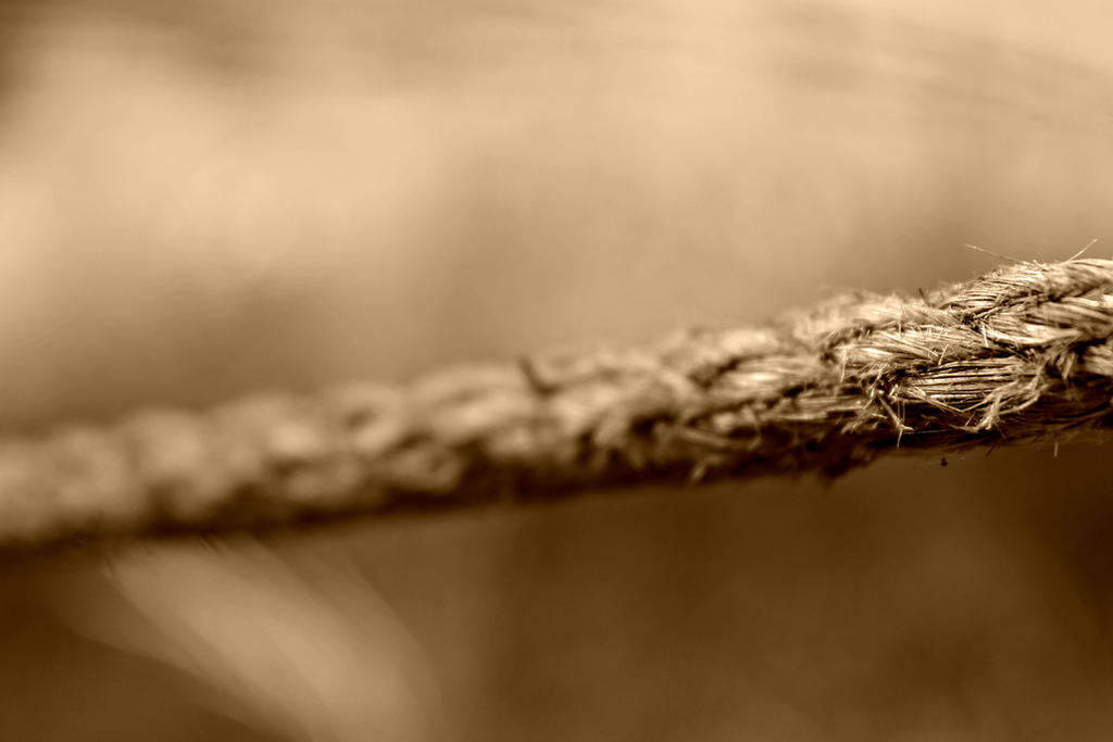 Rara Rope rope 2 by MissJane01 on DeviantArt