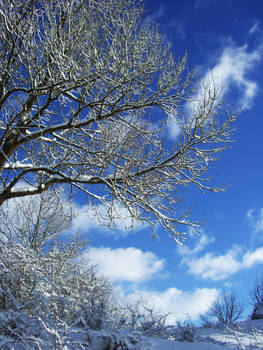 Touching The Blue Sky