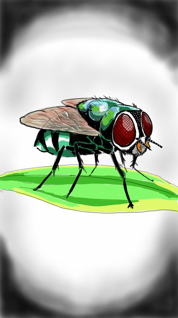 Fly Bug Deviantart FLYING INSECT by irongrid on DeviantArt