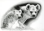 Hyenas by Doodlee-a