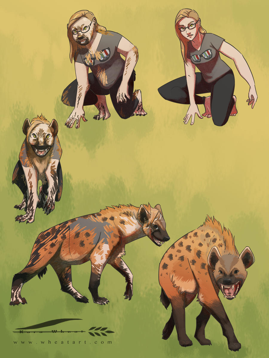 Morphing: Hyena by Wheatart on DeviantArt