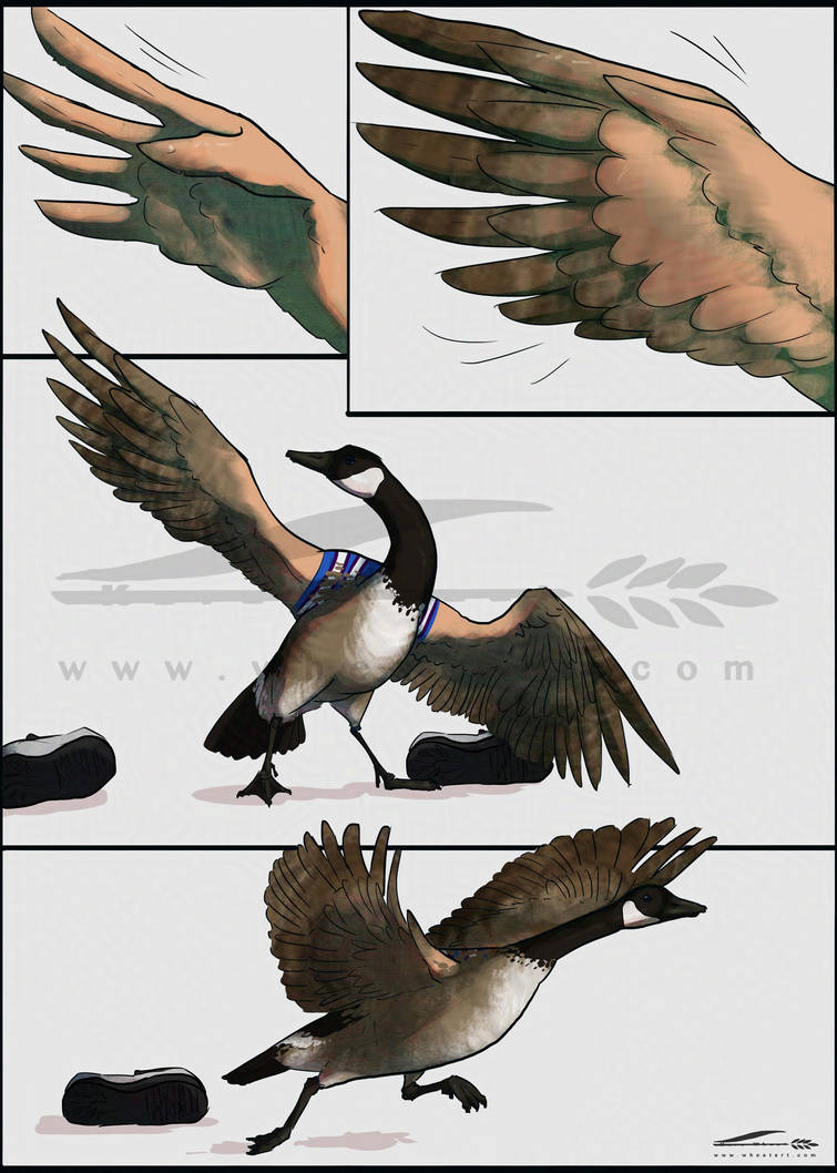 Deviantart Goosed Goosed 3 by Wheatart on DeviantArt