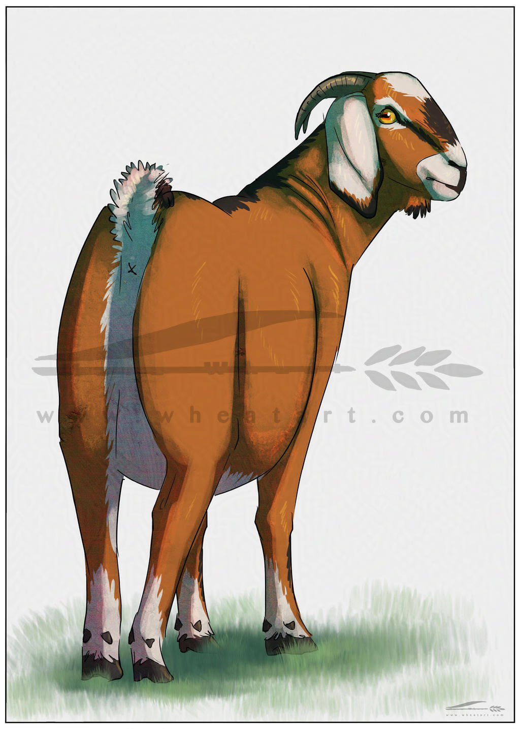 Deviantart Goatse Goated 6 by Wheatart on DeviantArt