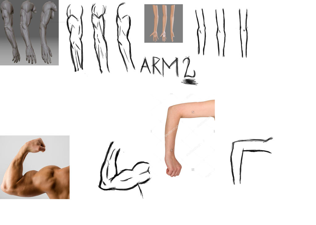 Arm 2 by BFoxArt on DeviantArt